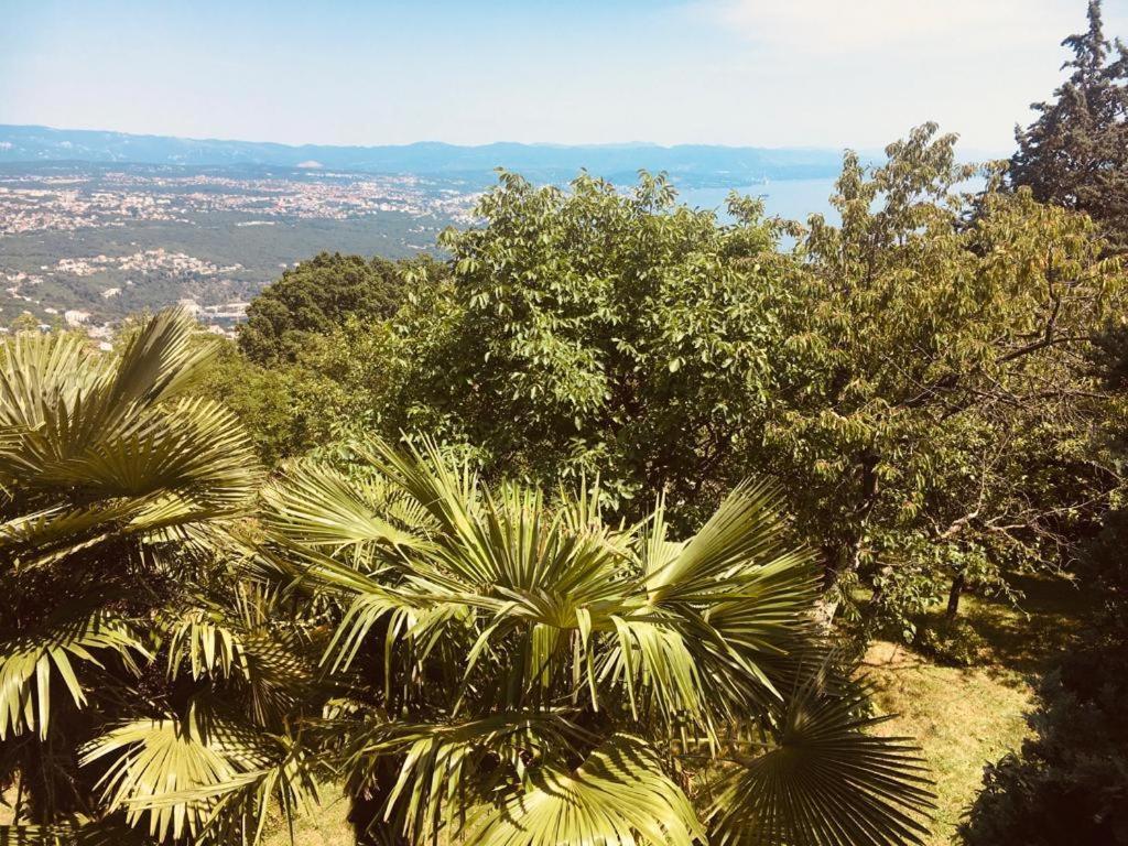 Luxury Apartment With Private Pool And 2 Bedrooms In Villa Opatija Bay View 外观 照片